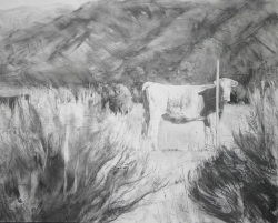 Lane-Hall-CATTLE-IN-BLACK-AND-WHITE-24x30-Graphite-And-Gesso-On-Panel-With-Cradled-Edge-1850