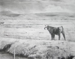 Lane-Hall-WANDERERS-24x30-Graphite-And-Gesso-On-Panel-With-Cradled-Edge-1850