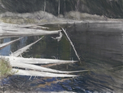 Lane Hall, Bleached Logs, Oil and Graphite (Sold)