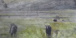 Lane Hall, High Country Livestock, Mixed Media (Sold)